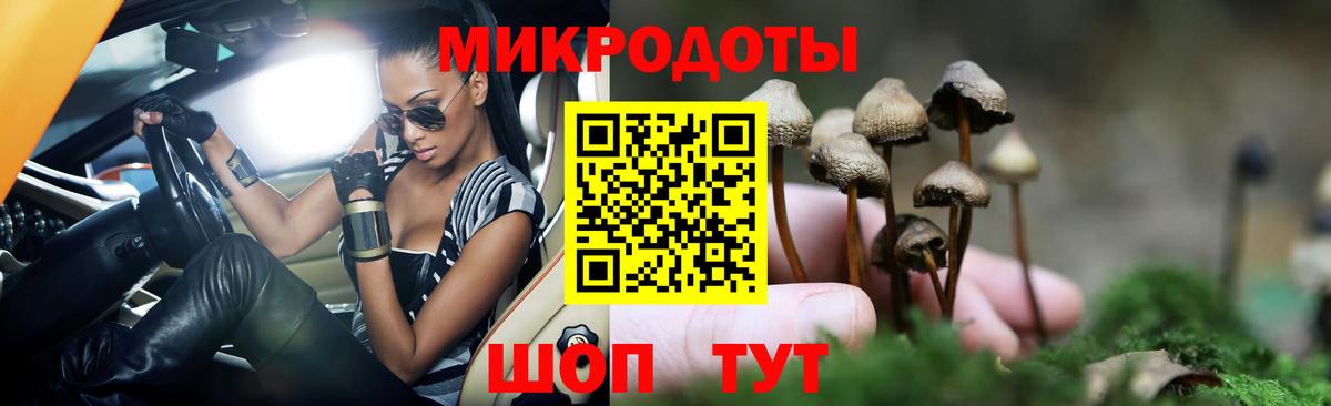 Галлюциногенные грибы Psilocybine cubensis  Вход с VPN  Новочебоксарск 