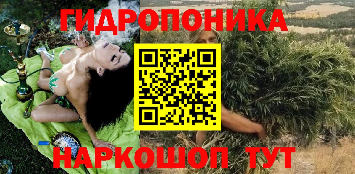 Каннабис SATIVA & INDICA  Вход с VPN  Шишки марихуана гибрид  Новочебоксарск  МАРИХУАНА LSD WEED 
