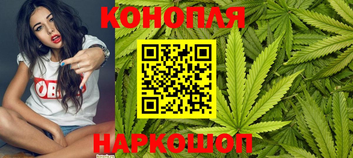 Шишки марихуана план Новочебоксарск